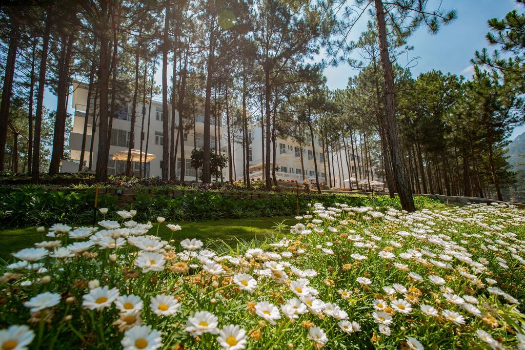cereja-hotel-resort-c490c3a0-le1baa1t-ivivu-3 Cereja Hotel & Resort Đà Lạt -ivivu-3