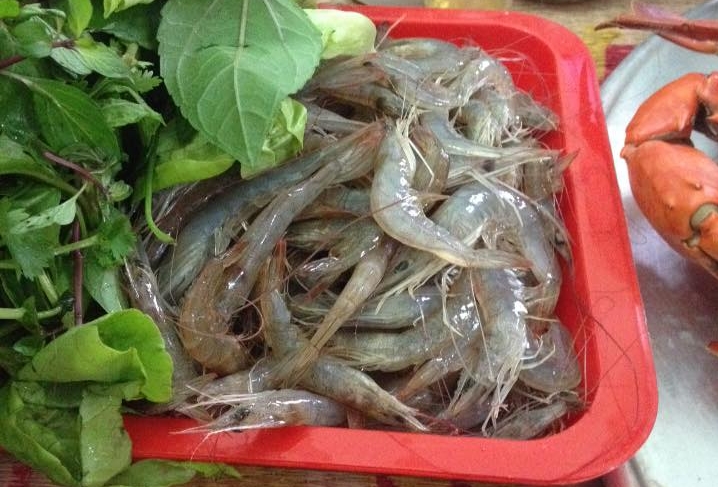 Tôm Quảng Yên. Ảnh: Báo Quảng Ninh.