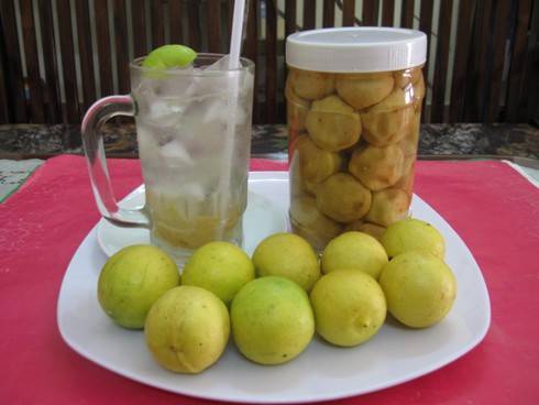 Nước chanh muối giải khát và hỗ trợ giảm cân Nước chanh muối giải khát và hỗ trợ giảm cân
