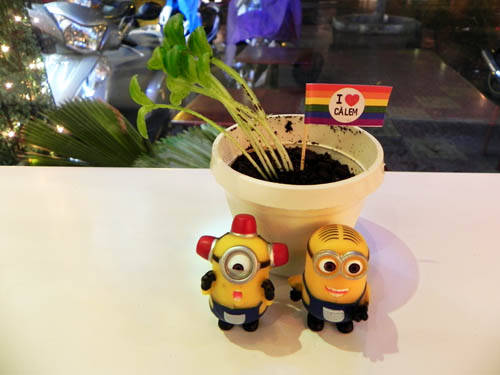 Chậu cây ăn được ở Sài Gòn với kem chocolate và bánh Oreo