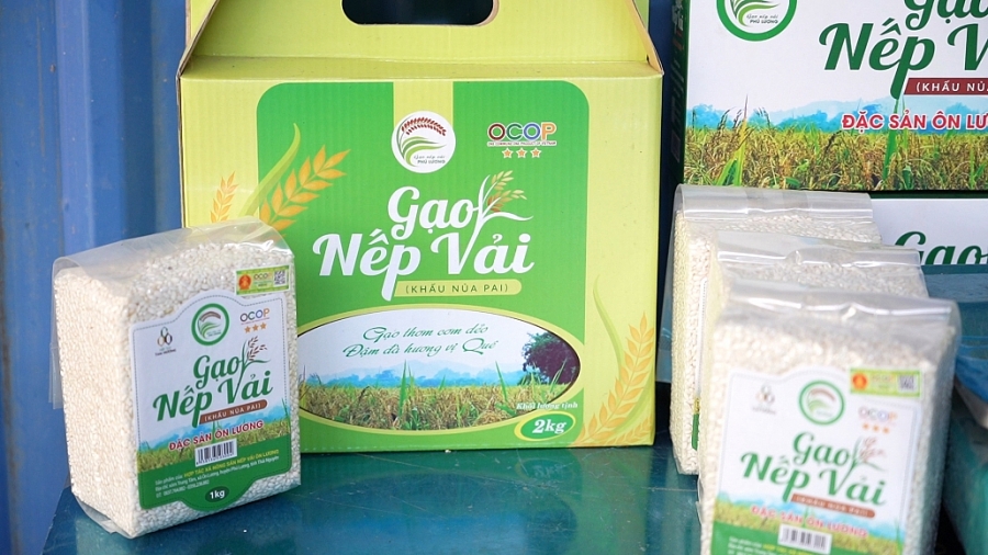 Gạo nếp vải Thái Nguyên
