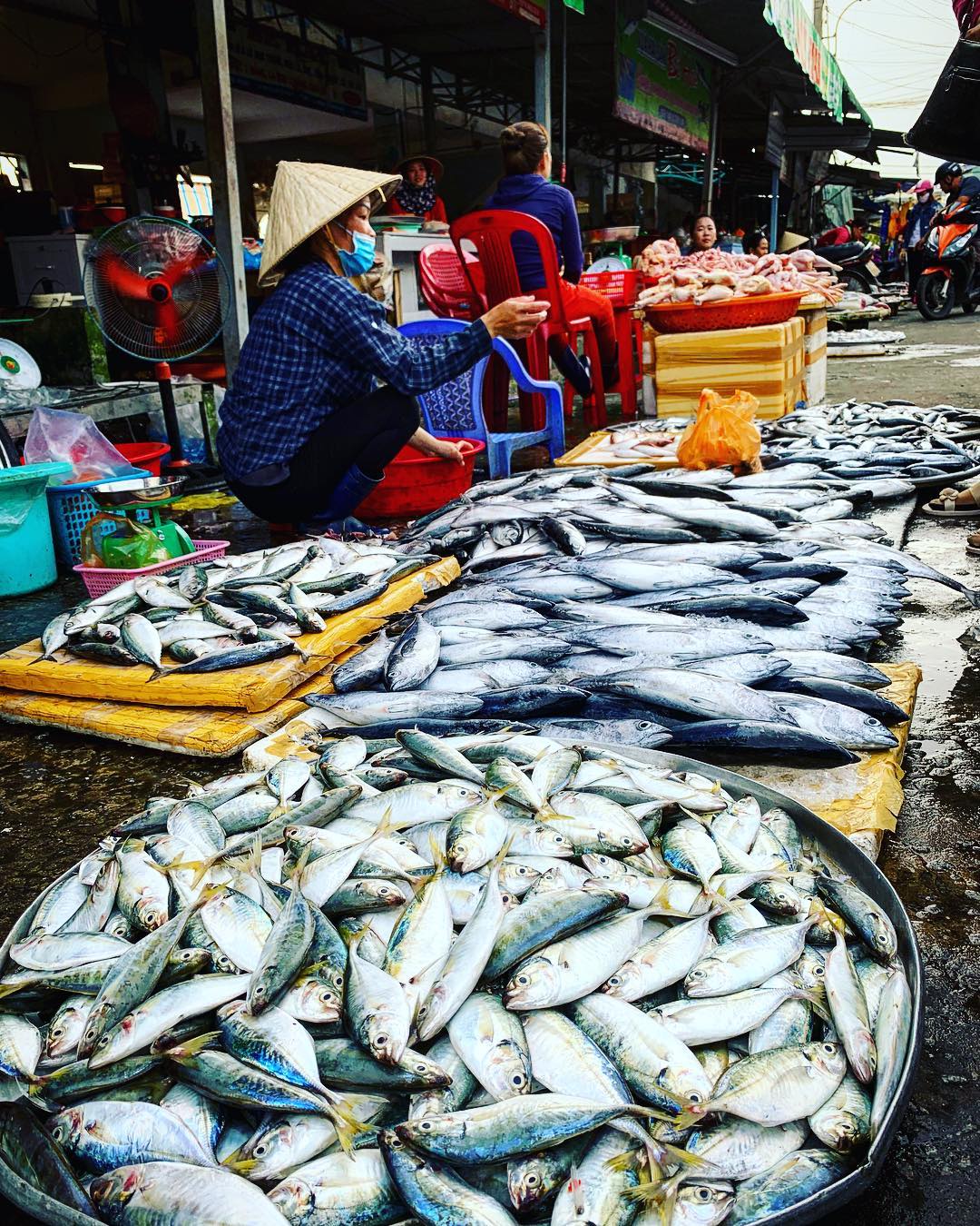 Chợ -Dương- Đông-ivivu