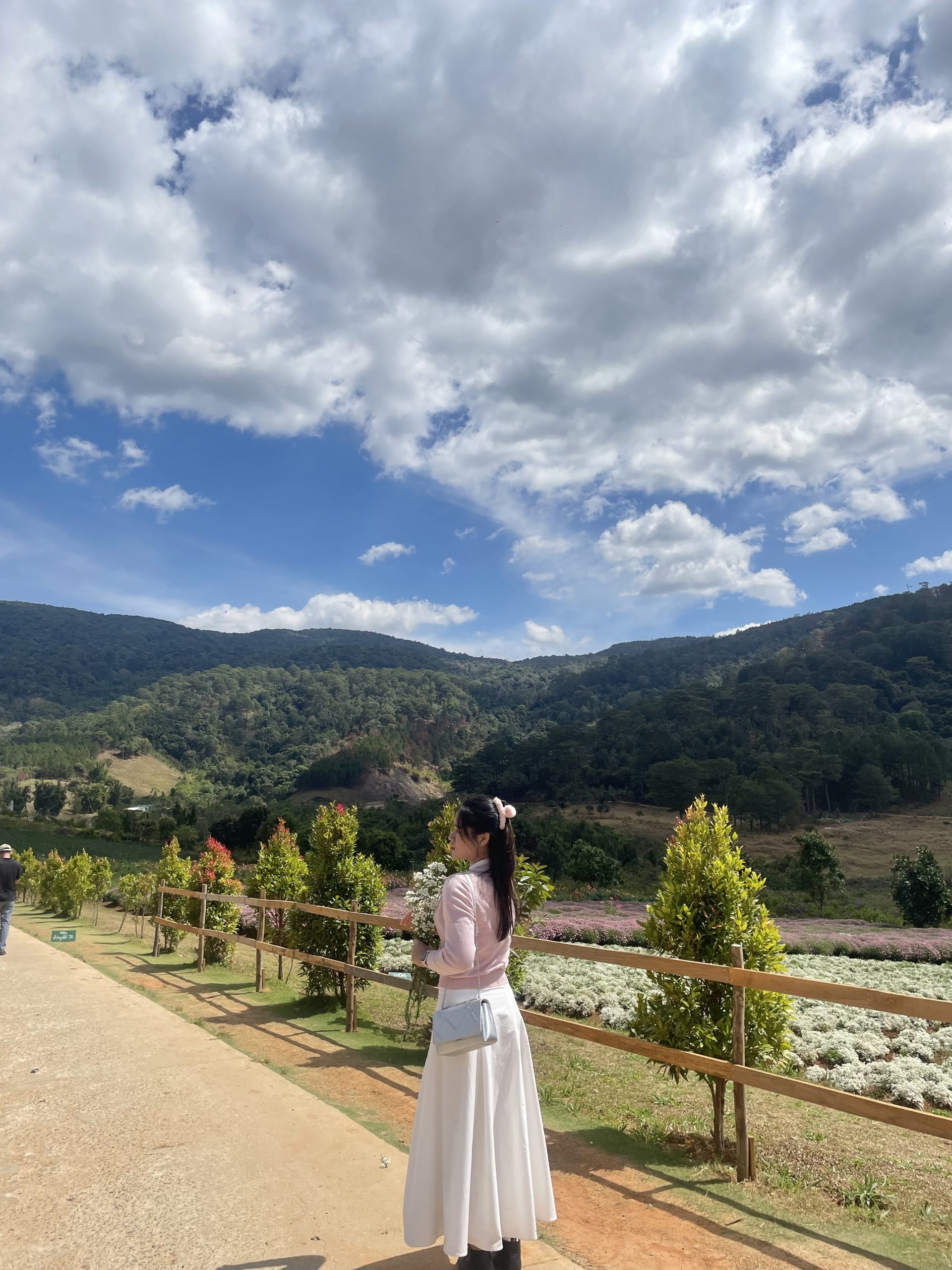 Điểm check in Đà Lạt mùa xuân tại Hoa trong rừng