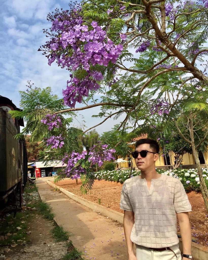Hàng cây hoa phượng tím Đà Lạt dọc đường phố Hàng cây hoa phượng tím Đà Lạt dọc đường phố