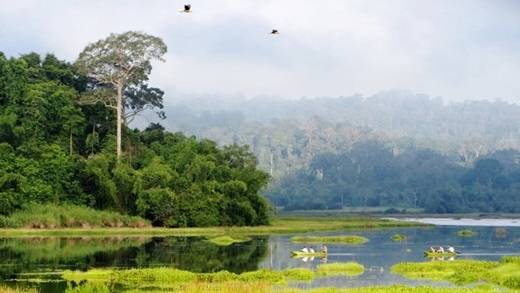 Vườn quốc gia Nam Cát Tiên được UNESCO công nhận