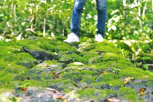 … được đi trên những phiến đá phủ đầy rêu xanh trơn trượt… (Nguồn: Internet)