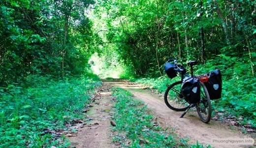 Còn gì thú vị hơn được thong dong đạp xe trên con đường đất gồ ghề, cây cối chở che trên đầu, tiếng chim rừng ríu rít không ngưng nghỉ? (Nguồn: Internet)
