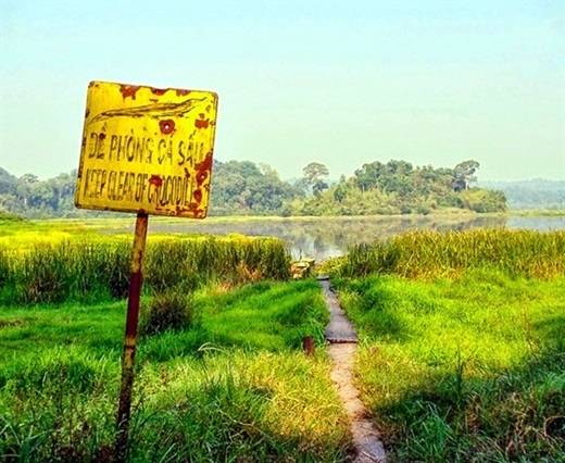 Và đừng quên ghé thăm Bàu Sấu – tuyến tham quan nổi tiếng nhất ở vườn quốc gia Nam Cát Tiên. Để đến được nơi này, đầu tiên bạn phải di chuyển bằng xe jeep khoảng 10km rồi đi bộ thêm 5km nữa. (Nguồn: Internet)