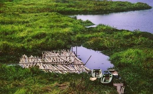 Không những được chiêm ngưỡng điệu múa mê hồn của những chú chim công, đắm mình trong khung cảnh thơ mộng, hùng vĩ của đại ngàn, bạn còn có dịp tận mắt chứng kiến những chú cá sấu hung tợn khi đang bơi thuyền trên hồ nữa. Dịch vụ thuê thuyền tham quan giá 160.000 đồng/người. Mỗi thuyền chở tối đa 3 khách. (Nguồn: Internet)
