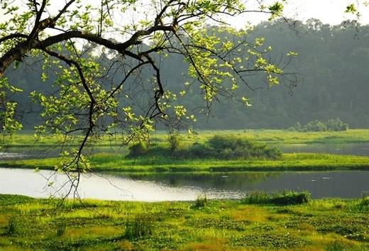 Cỏ cây xanh mướt, nắng nhẹ, mặt hồ phẳng lặng, không khí trong lành… Nam Cát Tiên hội đủ các yếu tố lí tưởng cho một chốn thiên đường để người thành phố “trốn chạy” vào dịp cuối tuần. (Nguồn: Internet)