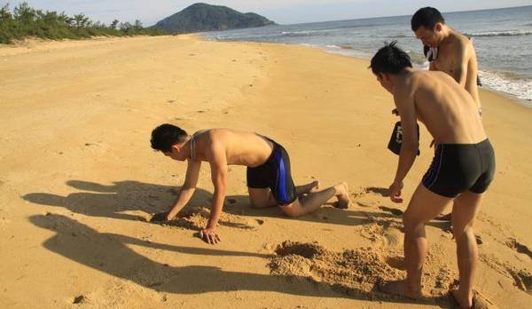 Du khách hào hứng trải nghiệm bắt còng gió khi du lịch Lăng Cô