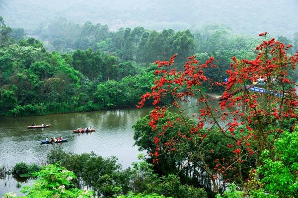 Chụp ảnh hoa gạo ở Hà Nội tuyệt đẹp tại chùa Hương Chụp ảnh hoa gạo ở Hà Nội tuyệt đẹp tại chùa Hương