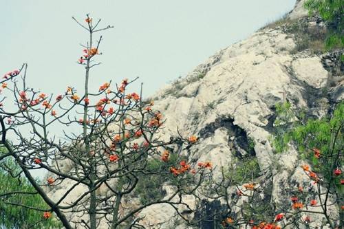 Khám phá mùa hoa gạo ở Hà Nội tại ngôi chùa Trầm cổ kính Khám phá mùa hoa gạo ở Hà Nội tại ngôi chùa Trầm cổ kính