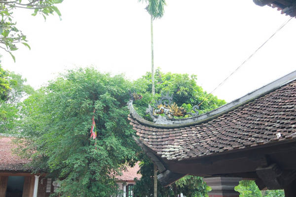 Truyền thuyết Kim Quy và Đền Sái giếng nước