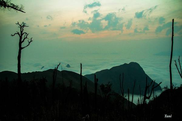 Bạch Mộc Lương Tử hiểm trở nhưng tuyệt đẹp