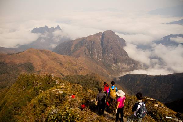 Chặng đường từ 2.800 m lên đến 3.046 m, ai nấy đều mệt và khá đuối sức, đi một chút lại nghỉ một chút. Nhưng cả đoàn cần mẫn xuyên rừng trúc, xuyên qua những cánh rừng già, bò trên những vách đá đầy rêu trơn trượt cần mẫn để đến được đỉnh cao nhất 3.046 m.