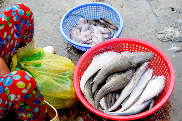Nhiều gian hàng chỉ vẻn vẹn hai rổ nhỏ với các loại cá khác nhau. Hầu hết người bán đều là dân nghèo. Đêm nào tôi cũng tranh thủ thức đêm ở chợ cá để mua giá rẻ. Sáng ra bán kiếm lãi vài chục nghìn đồng trước khi đi làm việc khác, một người bán nói.