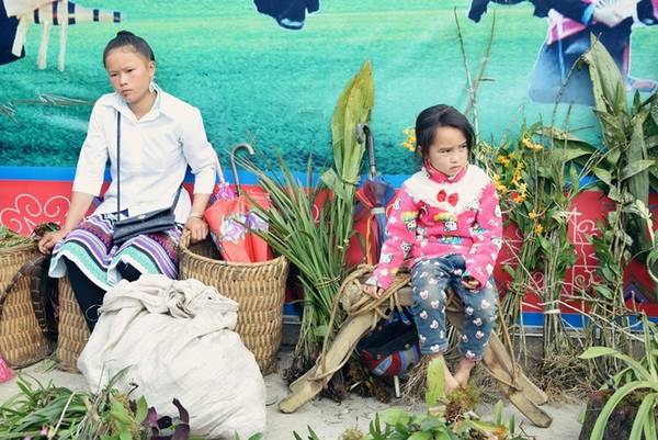 Khu bán lan rừng gần sân khấu chính chợ phiên Bắc Hà