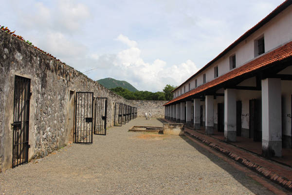 choi-dau-an-gi-cho-nguoi-lan-dau-ra-con-dao-ivivu-3