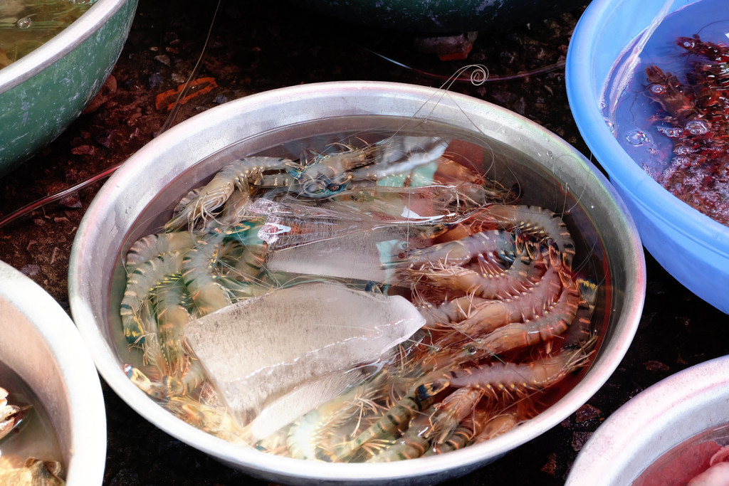 Món ngon Phan Thiết du lịch Phan Thiết