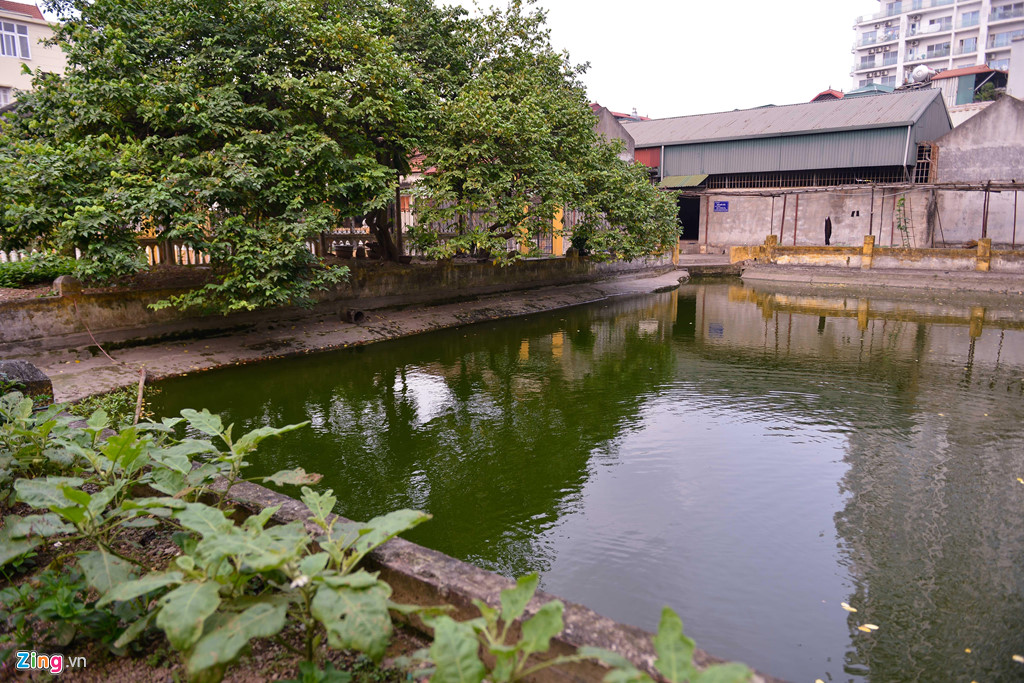 Trong chùa Bà Đanh Hà Nội có ao lớn, vườn rau gợi không gian yên bình