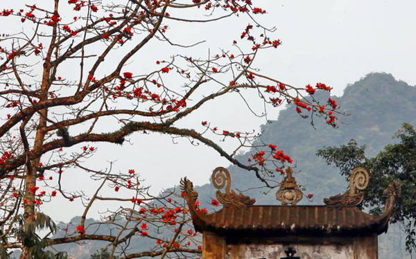 Chùa Hương mùa hoa gạo đỏ rực rỡ bên tam quan