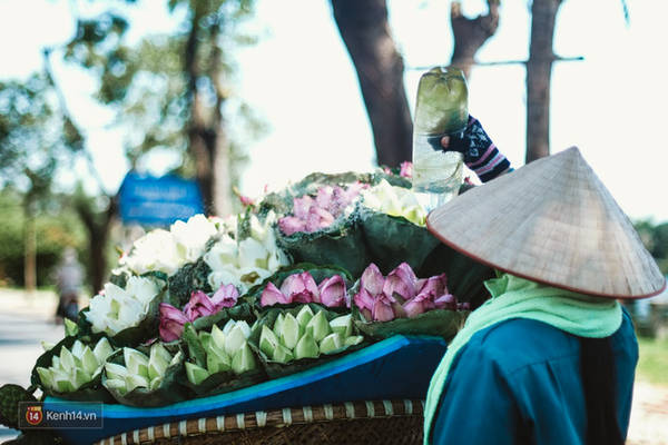 Hương sen thơm ngát lan tỏa khắp phố phường Hương sen thơm ngát lan tỏa khắp phố phường