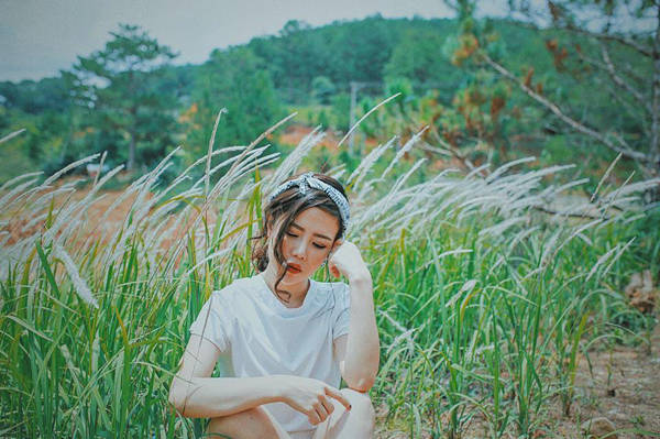 Thung lũng Vàng lãng mạn với đồi thông reo