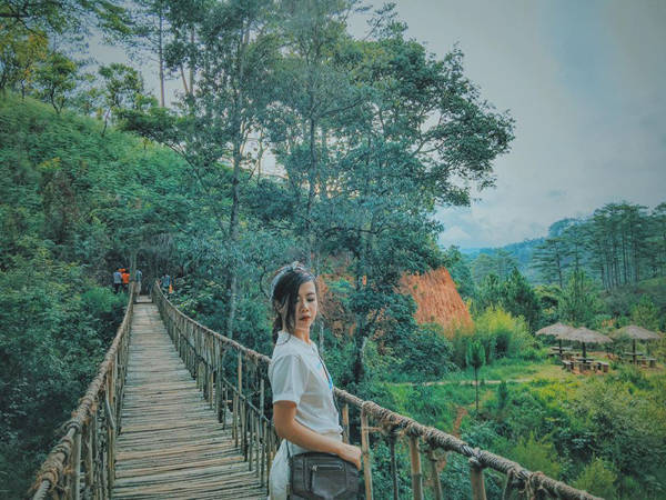 Thảo nguyên xanh mướt như trời Âu