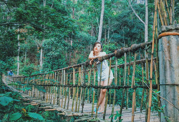Khung cảnh vintage mộc mạc tại homestay Tre's House