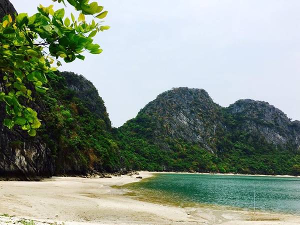 Chuyến phiêu lưu trên hoang đảo Mắt Rồng