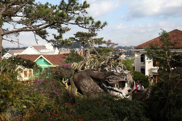Crazy House Đà Lạt – Không gian ngoài trời