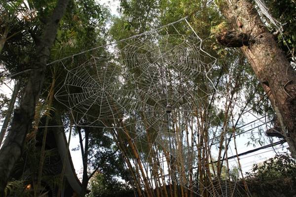 Crazy House Đà Lạt với mô hình con vật như thật