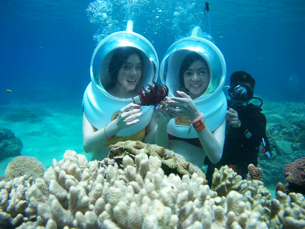 Lặn biển ngắm san hô tuyệt đẹp tại vịnh Nha Trang