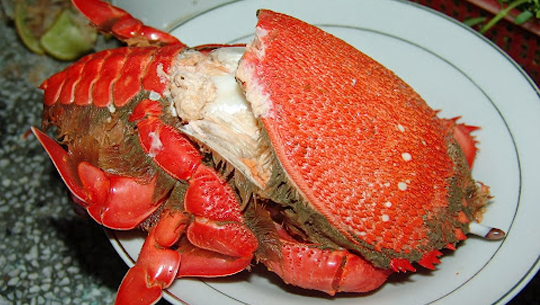 Cua Huỳnh Đế đặc sản khi du lịch Phan Thiết