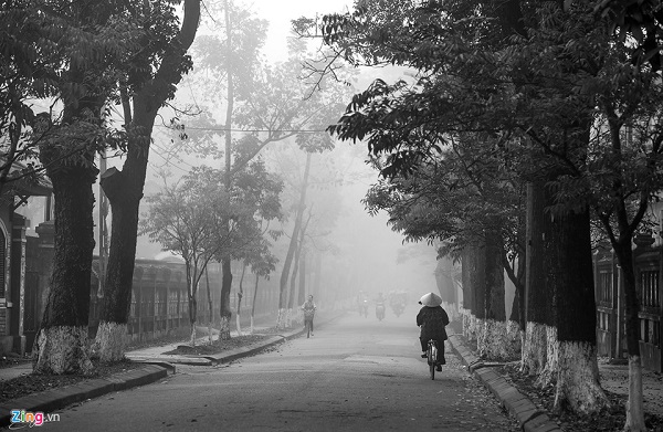 Những con đường phủ đầy sương trắng như những bức họa.