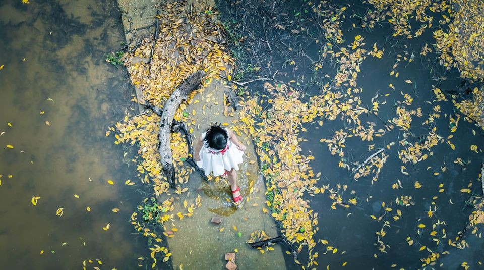 Phong cảnh lãng mạn của phá Tam Giang khi du lịch Huế mùa thu