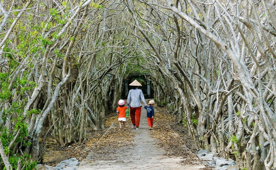 Đường đi đến phá Tam Giang trải nghiệm du lịch Huế mùa thu hoang sơ