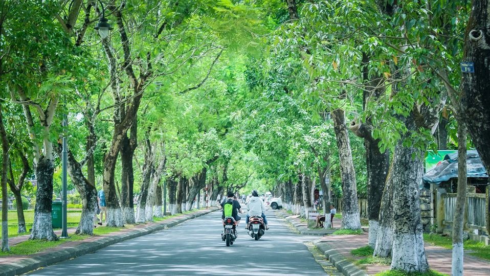 Kinh nghiệm du lịch Huế mùa thu dạo bước trên những con phố bình yên