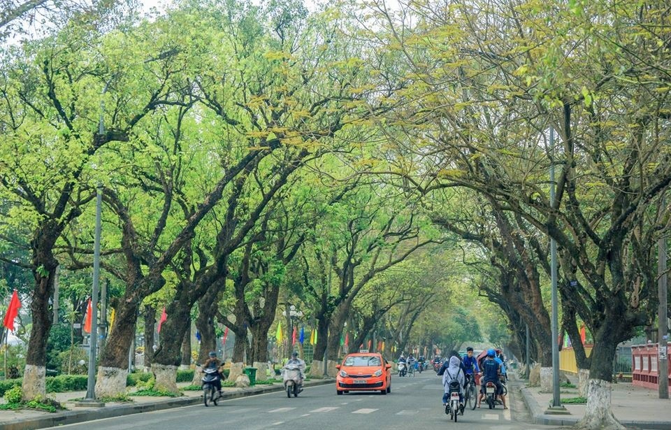 Hành trình du lịch Huế mùa thu đi qua các con đường Đoàn Thị Điểm Lê Lợi