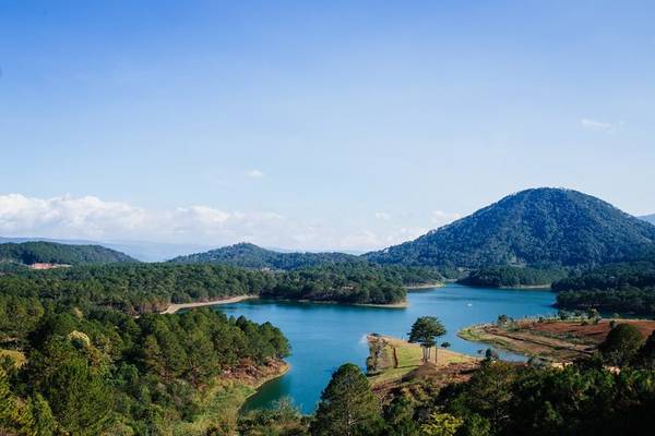 Phiêu du Đà Lạt để khám phá vẻ đẹp mộng mơ từ hoa dại ven đường đến nắng mai trong sương sớm