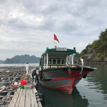 Từ cảng Cái Rồng đi tàu vào đảo Bánh Sữa
