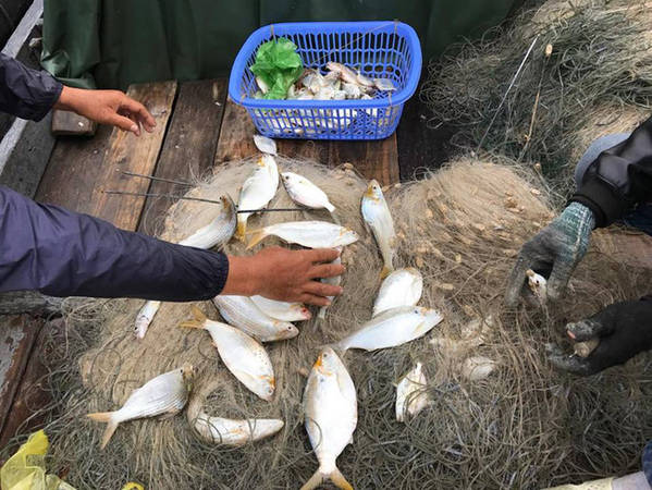 Người dân chài bắt cá trên đảo Bánh Sữa