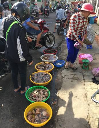Lưu trú tại đây thì các bạn cứ yên tâm trong việc tổ chức BBQ, các bạn sẽ được cô Tư hướng dẫn nhiệt tình trong việc tìm được chỗ bán hải sản giá rẻ.