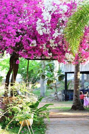 Không gian homestay La Gi tại Coco Homestay