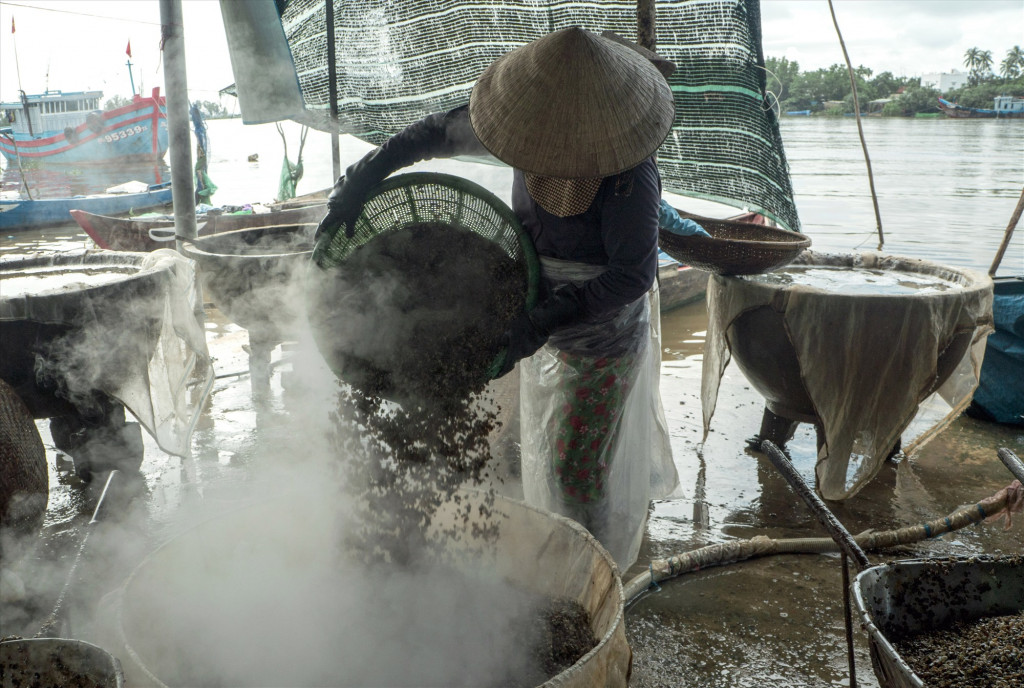 Đãi hến lấy thịt tại Cồn Hến
