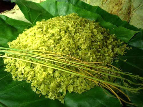 Cốm Thanh Hương được sản xuất tại hợp tác xã