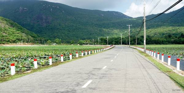 Hồ sen An Hải tại Côn Đảo