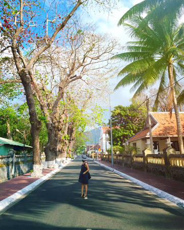 Côn Đảo trong xanh - Cung đường đèo ven biển