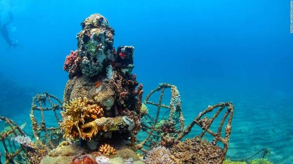 7. Pemuteran, Indonesia: Pemeturan ở Bali (Indonesia) có các khu vực lặn bình khí độc đáo, như những bức tượng Phật phủ đầy san hô. Ngoài ra, nơi đây còn có nhiều khu nghỉ dưỡng và nhà hàng sang trọng phục vụ du khách.